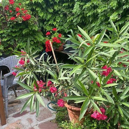Golyashaz Apartman Kovagoors Exterior foto